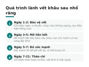 Quá trình lành vết khâu sau nhổ răng