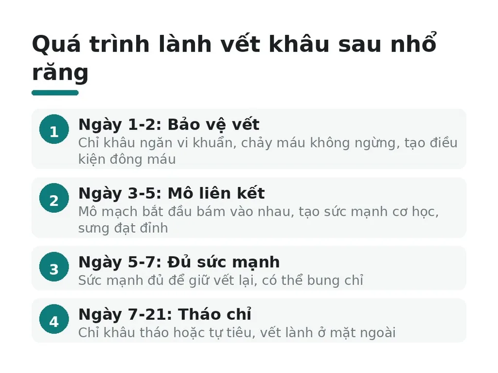 Quá trình lành vết khâu sau nhổ răng