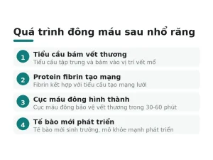 Quá trình đông máu sau nhổ răng