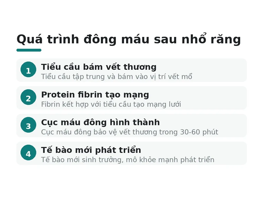 Quá trình đông máu sau nhổ răng