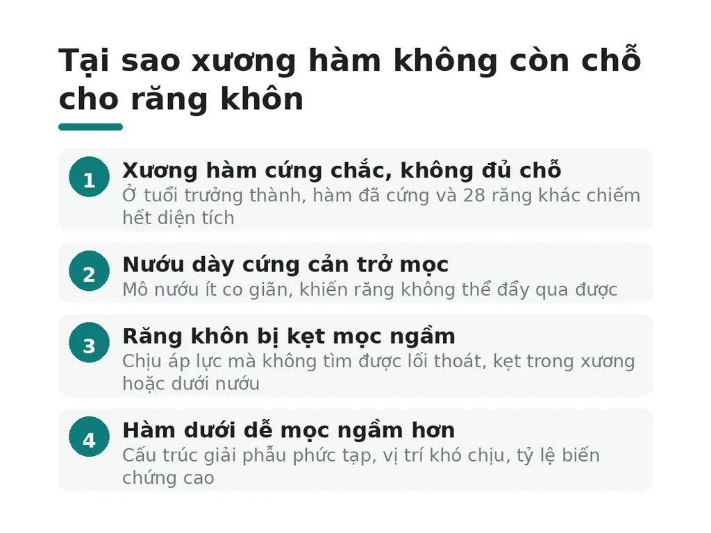Tại sao xương hàm không còn chỗ cho răng khôn?